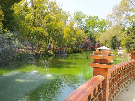 Apartamento T1 em Aveiro - Photo 5