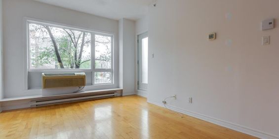 Appartement Ville-Marie (Centre-Ville, Vieux-Montréal) À Louer - Photo 3