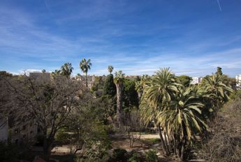 Piso de lujo en Valencia centro con terraza