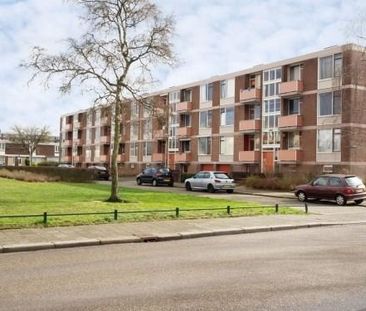 Rochussenstraat 0ong, 6535 VC Nijmegen, Nederland - Foto 2