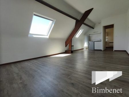 Appartement à louer, 1 pièce - Olivet 45160 - Photo 4