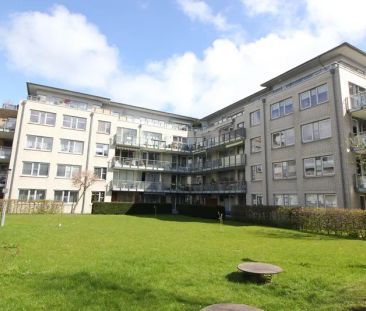 Erstklassige 1 Zimmer-Wohnung mit großer Terrasse zu mieten! - Photo 6