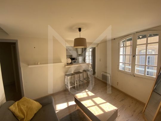 Location Appartement 1 pièce 36m² AIX EN PROVENCE 13100 - Photo 1