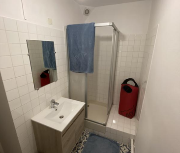 Location Appartement 2 pièces 37m² PARON 89100 - Photo 4