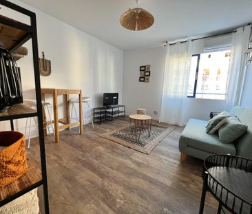 Location Appartement 1 pièce 23m² STE CLOTILDE 97490 - Photo 1