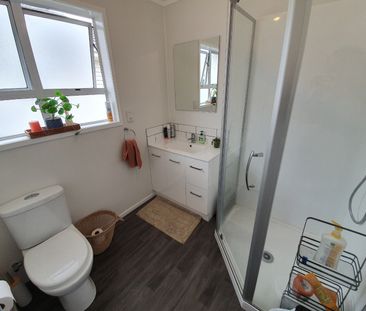 Large Section & Pet Friendly - Photo 4