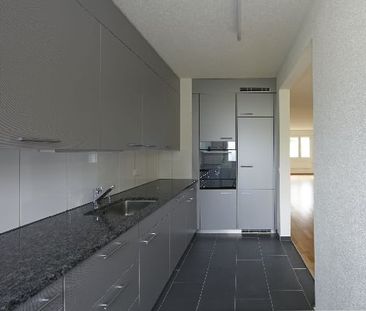 "Greifensee: Das Naherholungsgebiet" - Photo 5