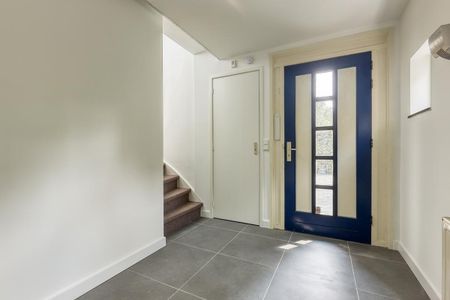 Guirlande 205 - Photo 4