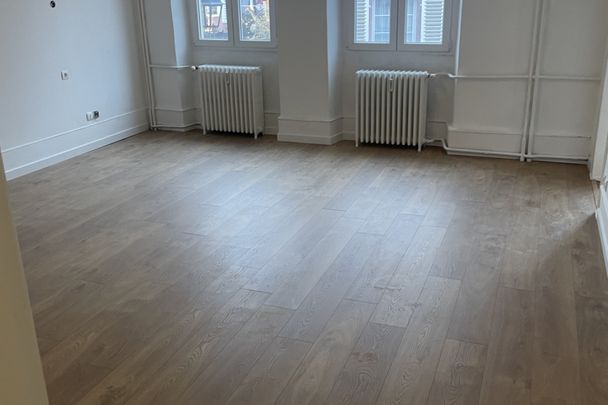 Spacieux 2/3 pièces rénové avec grande terrasse en plein coeu - Photo 1