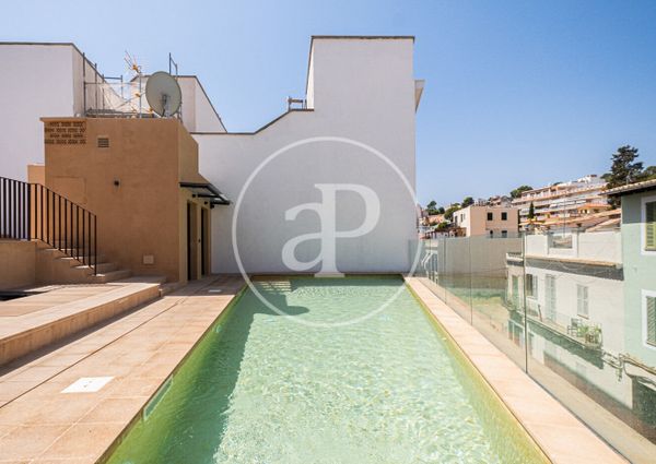 Apartment for rent in El Terreno