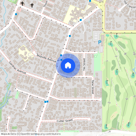 100C Astley Avenue, Auckland Metro, New Lynn