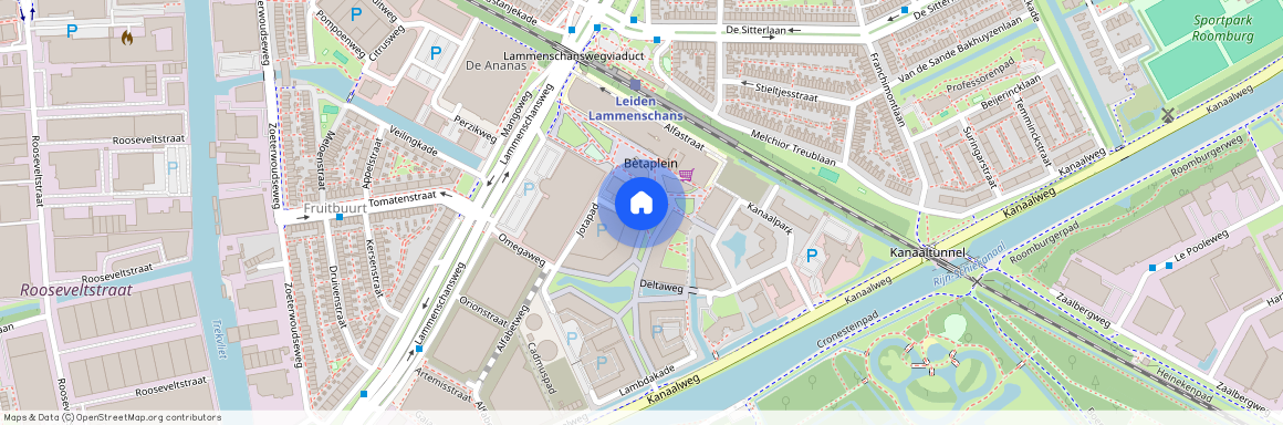 Omegaplantsoen 37, 2321 KT, Leiden