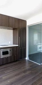 YORKVILLE: Unfurnished Jr. 1 bedroom condo in the heart of Yorkville - Photo 4