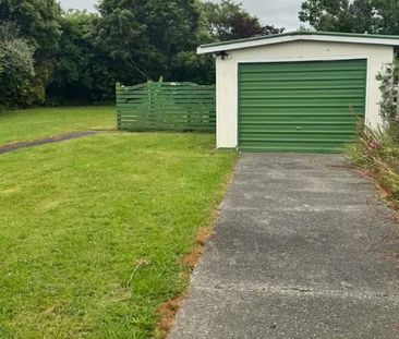 76 Worcester Street, Ashhurst - Photo 4