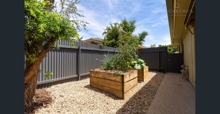 Prime Position - Photo 2