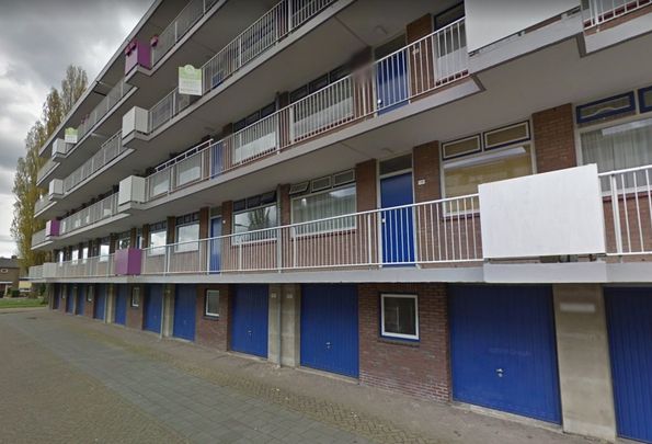 Room Arnhem - Van Borselenstraat - Photo 1