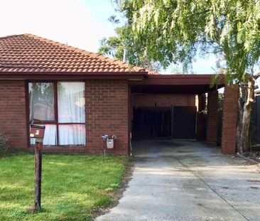 A Rolling Stone Gathers No Mossfiel - Photo 2