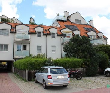 Perfekte Familienwohnung mit Süd-Balkon, Terrasse und KFZ-Abstellplatz - Foto 4