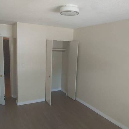 One Bedroom Apartment w/ Large Balcony for Rent - Photo 4