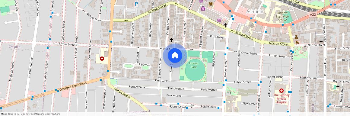 8 Alma Street, Sydney, New South Wales 2220