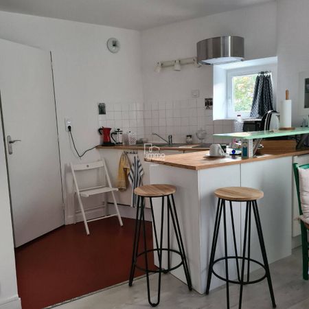 Location appartement 1 pièce 29.08 m² à Nantes (44000) - Photo 2