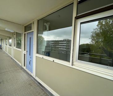 Schipmolen 59, Molenwijk, 1035CH, Amsterdam - Photo 4