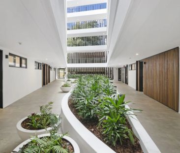 Modern One Bedroom Apartment in The Heart of Lane Cove - Photo 3