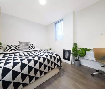 Gold Studio - Photo 4