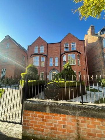 Apt 3, 34 Wellington Park, Belfast, BT9 6DN - Photo 4