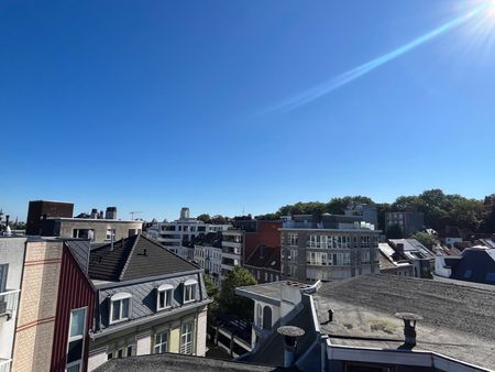 Gezellig dakappartement met 2 terrassen - Foto 5