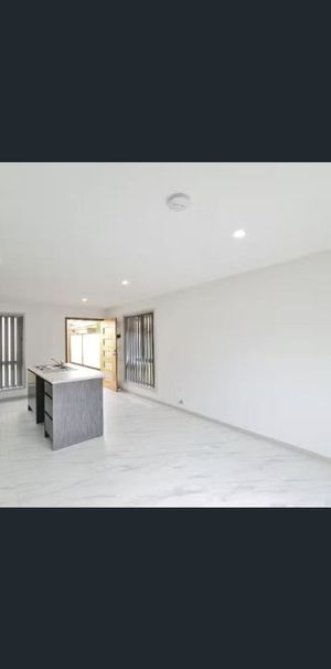 MODERN GRANNY FLAT IN BOSSLEY PARK! - Photo 1