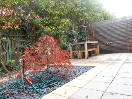 3/1435 High Street, Glen Iris VIC 3146 - Apartment For Rent | Domain - Photo 2