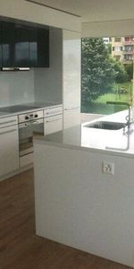 Exklusives Wohnen mit toller Sicht auf die Berge und den See - Foto 4