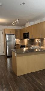 Spacious 1 bedroom 1 bathroom - Walnut Grove/Carvolth - Photo 4