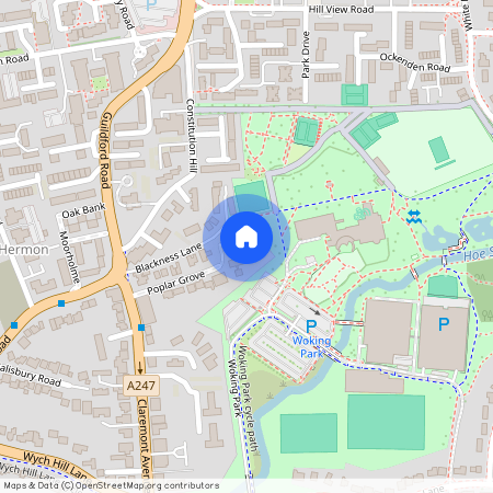 Effingham Court, Constitution Hill, GU22