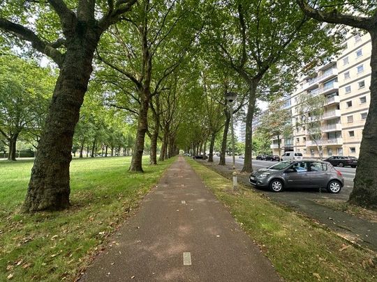 prachtig gelegen appartement met zicht over groen Linkeroever met parkeerplaats - Photo 1