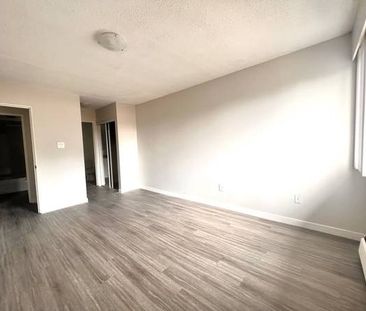 2 Bedroom + 1.5 Bathroom - Fully Renovated unit - Photo 4