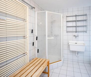 Attikawohnung mit privater Sauna in Aarau - Photo 5