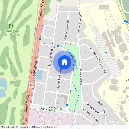 38A Pepper Tree Road, Lidcombe NSW 2141