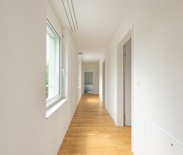 Rent a 4 ½ rooms apartment in Glattbrugg - Foto 5
