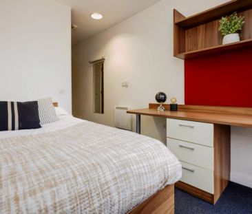 Standard Studio - Photo 3