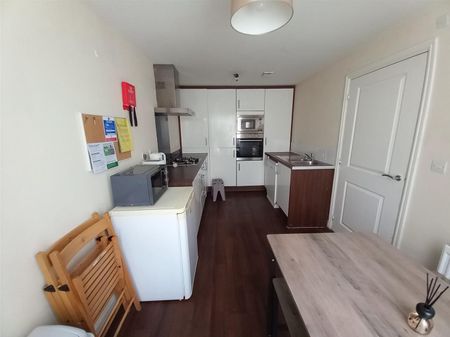 Wider Mead, Bristol - Photo 3