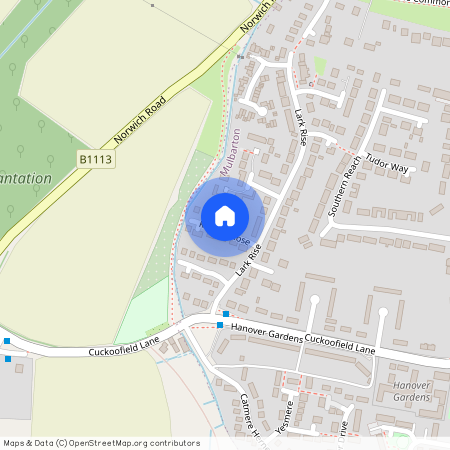 Pheasant Close, Mulbarton, Norwich, Norfolk