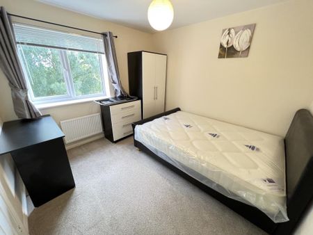 Elm Walk, Coventry, White Willow - Photo 3