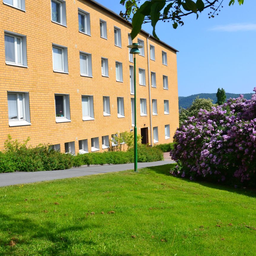 Birkagatan 16 A - Foto 2