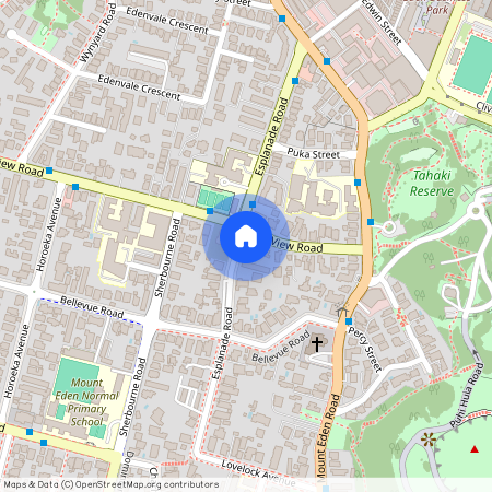 5/44 Esplanade Road, Mount Eden, Auckland City