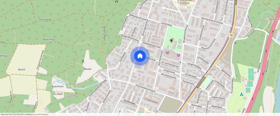 Binningerstrasse **, 4153 Reinach BL