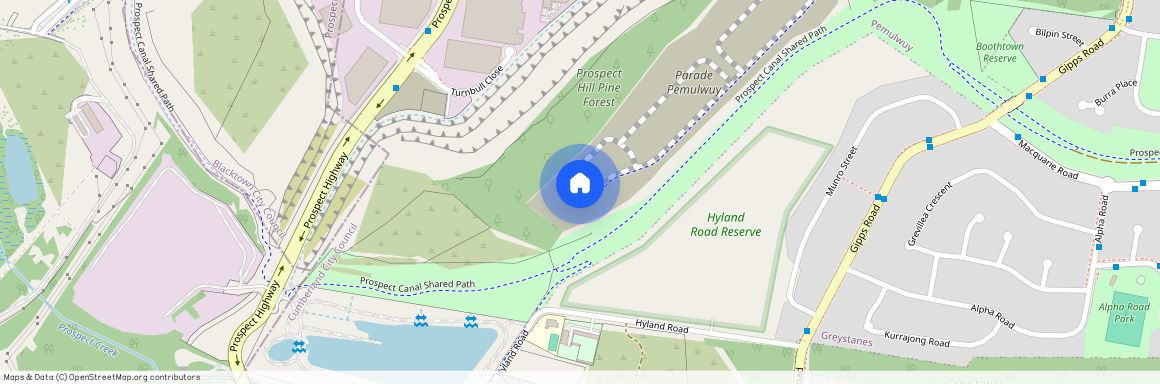 321 Driftway Drive, NSW 2145, Pemulwuy