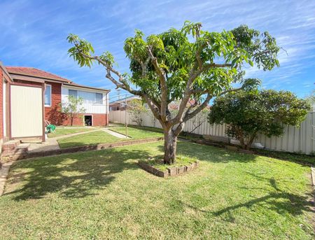 356 Kingsgrove Rd, Kingsgrove NSW 2208 - House For Rent | Domain - Photo 2