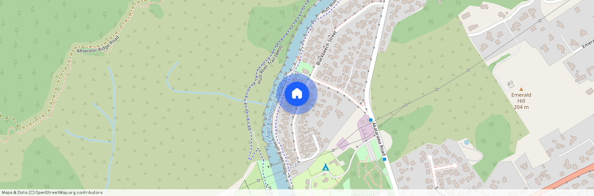 54 Black Beech Street, Birchville